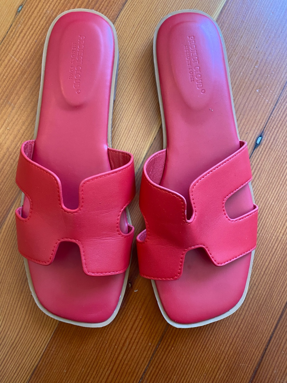 Project Cloud Women’s Leather Slides- Red